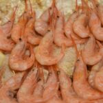 Quisquillas de Motril