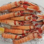 Cigalas 2 Scaled E1634560623412 150x150